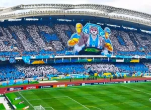 Torcida do Paysandu mangueirao - mosaico