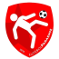 logo futebol paraense