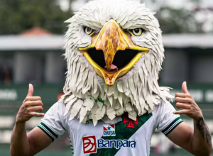Will Pereira / ASCOM Tuna
